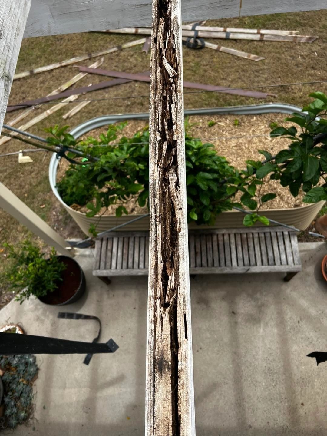 Deck rebuilt after premature structural failure — photograph 7