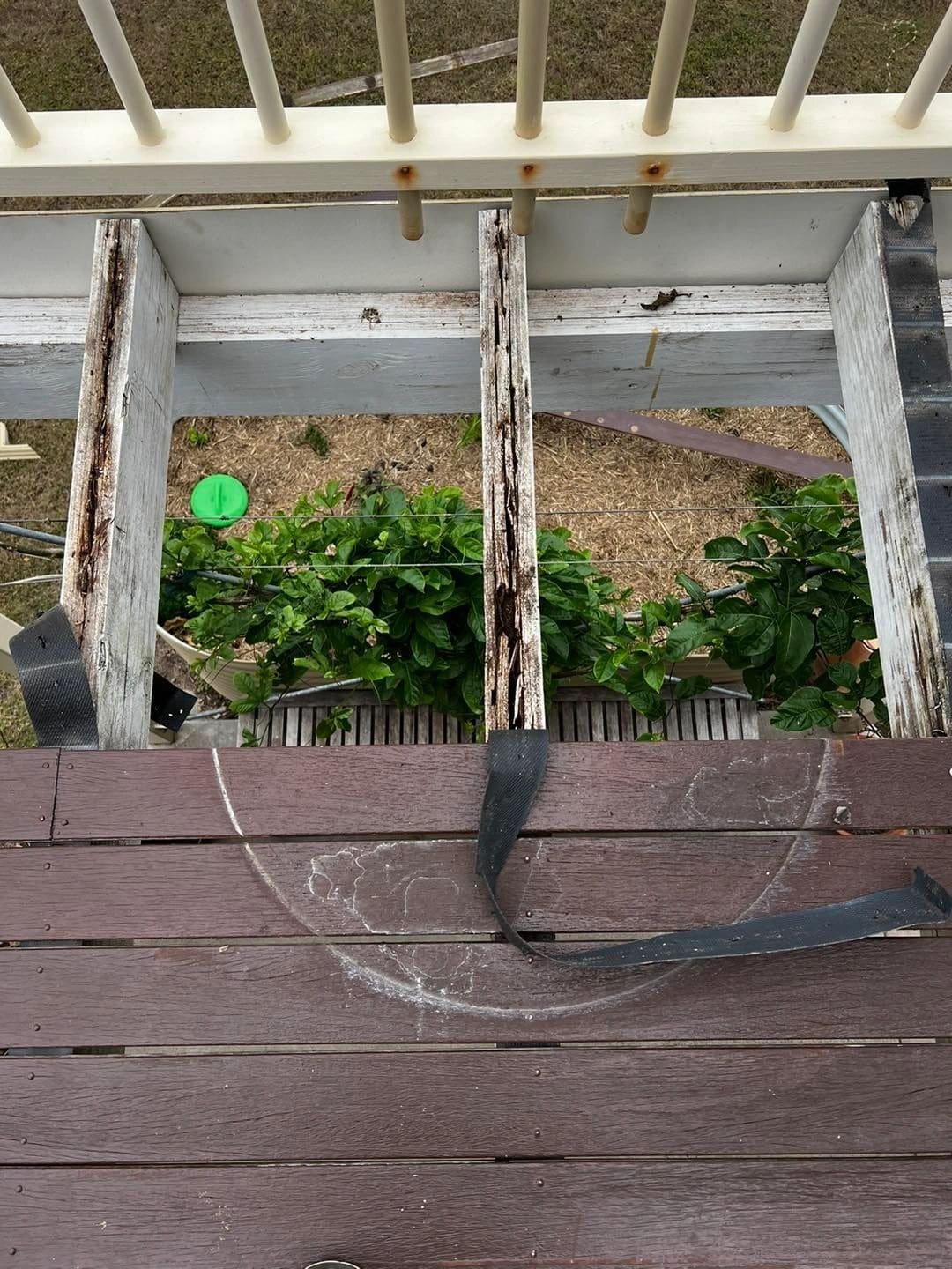 Deck rebuilt after premature structural failure — photograph 4