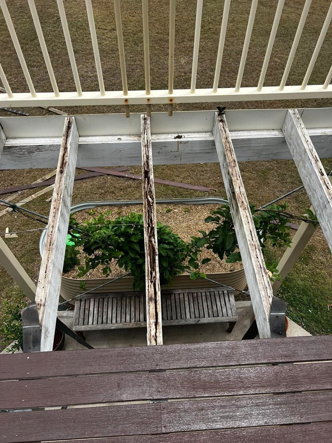 Deck rebuilt after premature structural failure — photograph 5