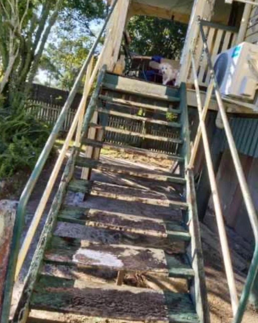 Full hardwood stair replacement — photograph 3