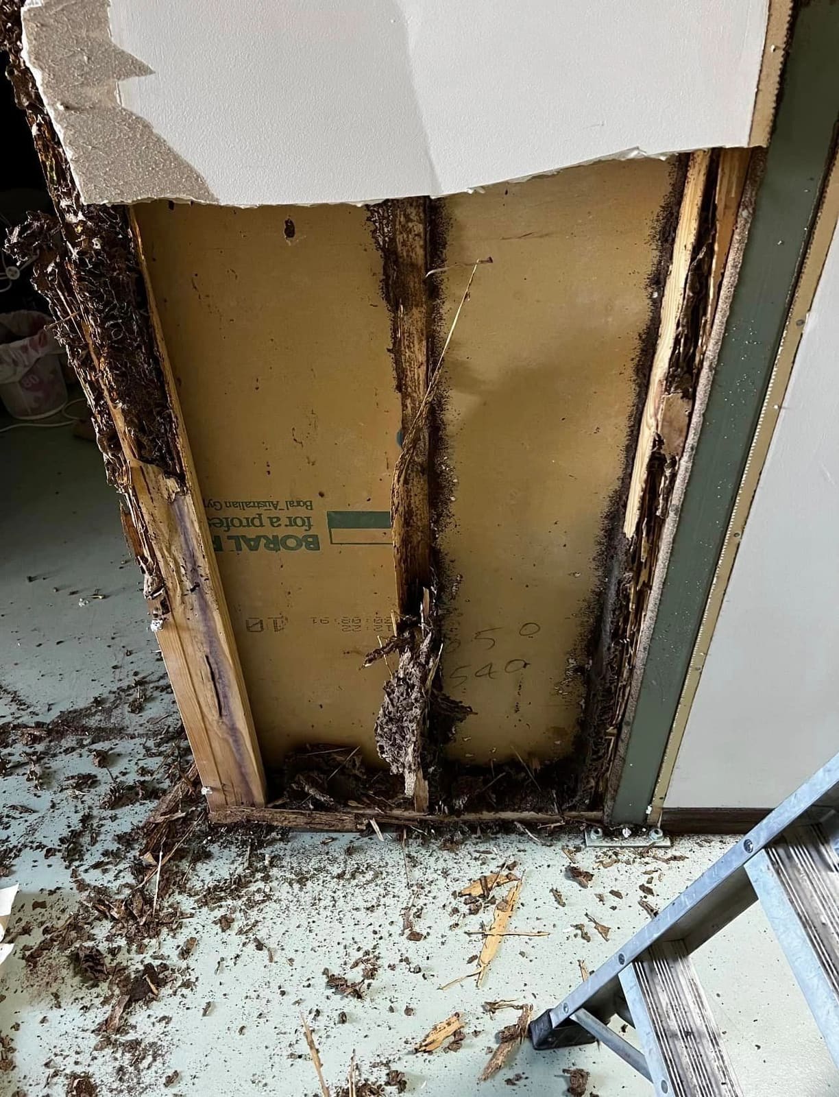 Termite-damaged framing rebuilt — photograph 3