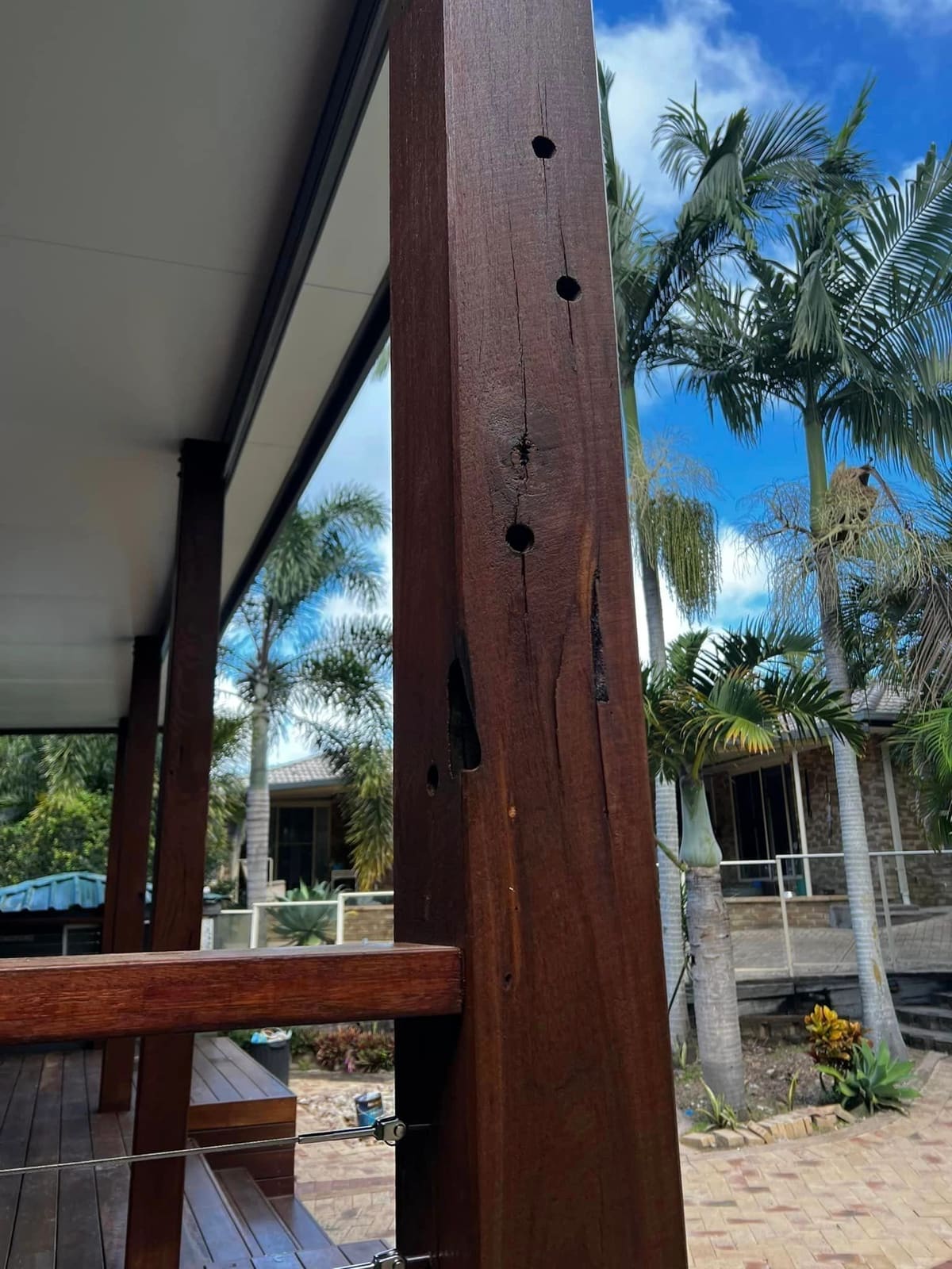 Pool deck and pergola rebuilt to permit — photograph 6